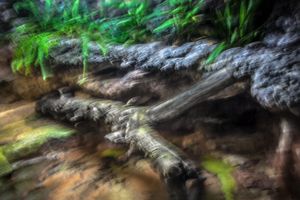 Below the Bank