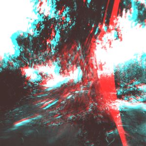 riverbank tree