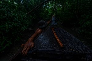 Save Mangrove Forest
