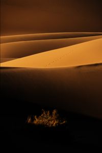 shapes of  desert 3