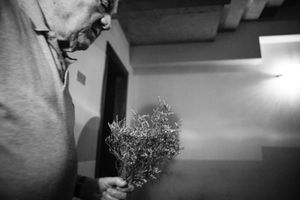 Untitled _03