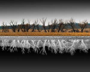 Abstract Duality