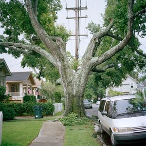 Untitled 07-07