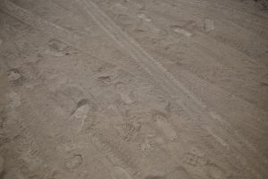Most ot the all of the alleys and streets covered by asphalt are fulled with dust because of the damages