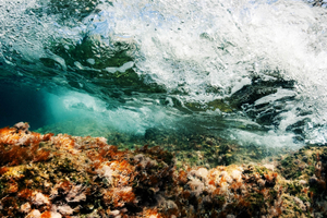 Splash_2