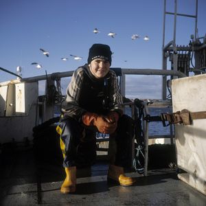 Jake Bellamy, herring fishing, Peterhead, Scotland, UK.