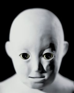 CB2, an Infant Robot