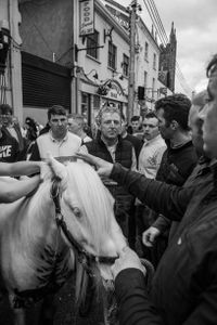 A Horse for my Kingdom 30
