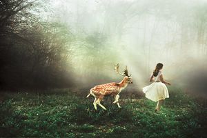 Into the wild © Julie De Waroquier