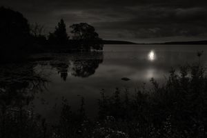 Ignis Fatuus, Study 9