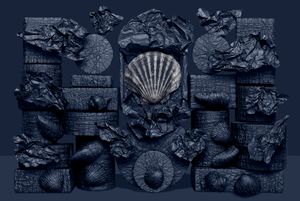 Rivelazione di una conchiglia