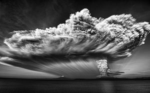 Fury