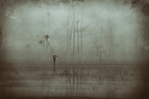'bank.of.fogs', 2015