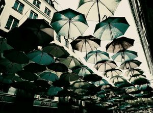 Umbrella Sky Project 26