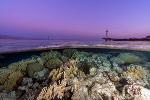 Sunset upon the coral reefs of Eilat, Red Sea