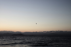 second morning #10