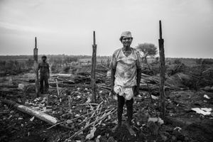 Human & Tiger Conflict