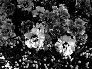 I must have flowers #9
