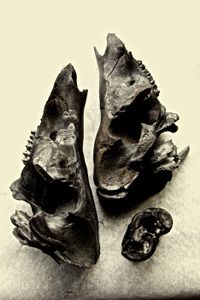 sculpture 1
