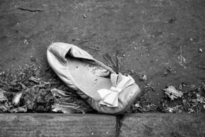 Cinderella Shoe