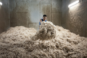 Mongolian cashmere