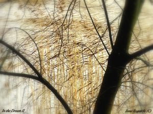 In the Dream II. Memory Landscapes series. 2020-2021.