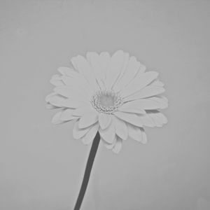 Hope and progress