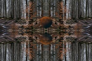 Parallel Universes#3