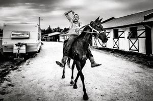 Cooling of the Horses