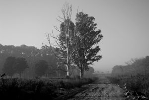 Contaminación...