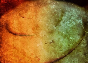 Consciousness