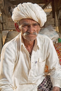 Camel Herder