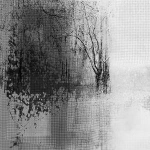 Forest #8
