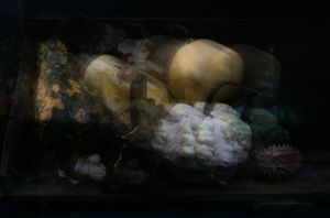 Perceptions. Autumn Composition.
