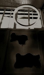 Interior Design 7