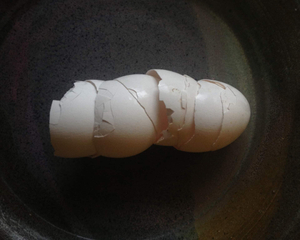 (2) eggshells on handmade plate