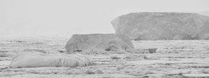 The Shape of Cold #2