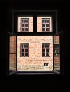 Auschwitz Window View No. 2