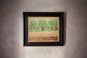 Olive trees, 2012 © Andreas Tsonidis