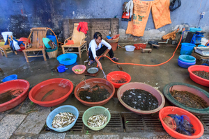 Yangshou market