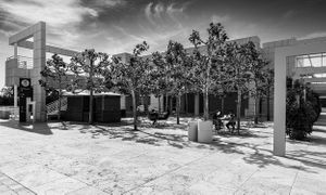 Restaurant and cafe | Los Angeles, California.