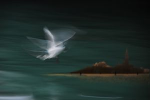 Water Emotions #10
