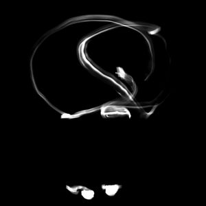 White crane spreads wings (Yin)