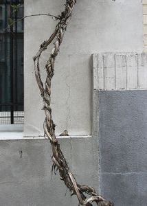 Street walls 03