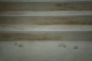 emptiness