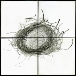 Nest IX, 2012                                              32"h x 32"w x 1.5"d                                         archival pigment prints & encaustic on panels                                                    © Christa Bowden