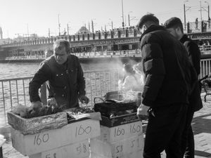 Fresh Food Cooking
