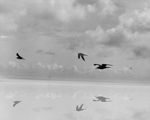 seascape99603 2