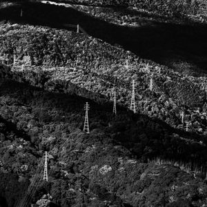 In the Shadow of Mt. Fuji