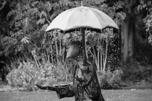 STANDING IN THE RAIN